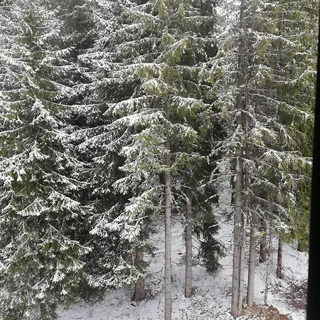 манастира 2 ап White Place Appartement Pamporovo